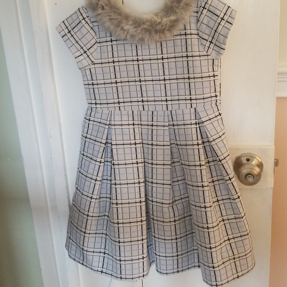 Janie and Jack faux fur collared pleated dress